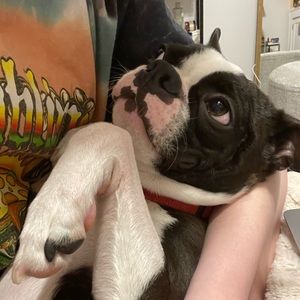 Meet your Posher, Gracie
